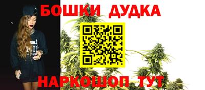 индика Ирбит
