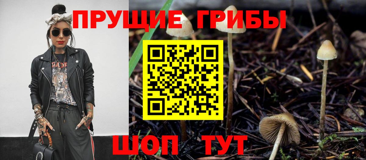 Псилоцибиновые грибы прущие грибы  Вход с VPN  Дальнегорск 